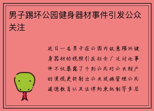 男子踢坏公园健身器材事件引发公众关注